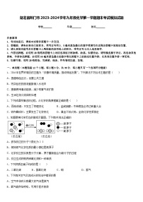 湖北省荆门市2023-2024学年九年级化学第一学期期末考试模拟试题含答案