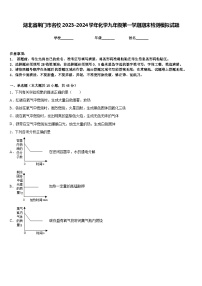 湖北省荆门市名校2023-2024学年化学九年级第一学期期末检测模拟试题含答案