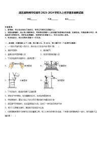 湖北省荆州市松滋市2023-2024学年九上化学期末调研试题含答案