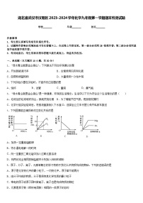 湖北省武汉市汉阳区2023-2024学年化学九年级第一学期期末检测试题含答案