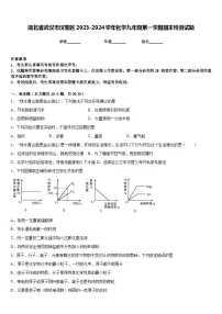 湖北省武汉市汉阳区2023-2024学年化学九年级第一学期期末检测试题含答案