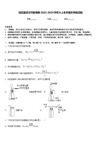 湖北省武汉市新观察2023-2024学年九上化学期末预测试题含答案