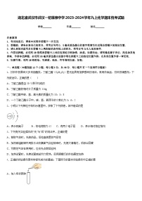 湖北省武汉市武汉一初慧泉中学2023-2024学年九上化学期末统考试题含答案