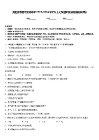 湖北省枣阳市实验中学2023-2024学年九上化学期末质量检测模拟试题含答案