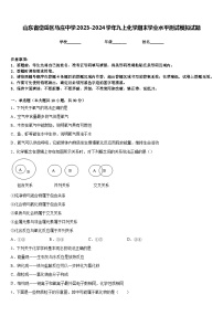 山东省岱岳区马庄中学2023-2024学年九上化学期末学业水平测试模拟试题含答案