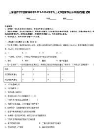 山东省济宁市田家炳中学2023-2024学年九上化学期末学业水平测试模拟试题含答案