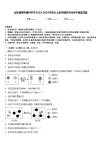 山东省邹平唐村中学2023-2024学年九上化学期末学业水平测试试题含答案