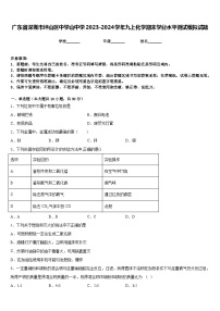 广东省深圳市坪山区中学山中学2023-2024学年九上化学期末学业水平测试模拟试题含答案