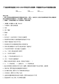 广东省深圳市盐田区2023-2024学年化学九年级第一学期期末学业水平测试模拟试题含答案