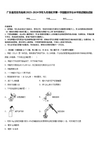 广东省茂名市高州2023-2024学年九年级化学第一学期期末学业水平测试模拟试题含答案