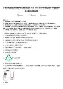 广西壮族自治区河池市罗城仫佬族自治县2023-2024学年九年级化学第一学期期末学业水平测试模拟试题含答案