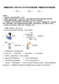 海南省华东师大二附中2023-2024学年九年级化学第一学期期末学业水平测试试题含答案