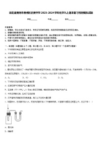 湖北省黄冈市黄州区启黄中学2023-2024学年化学九上期末复习检测模拟试题含答案