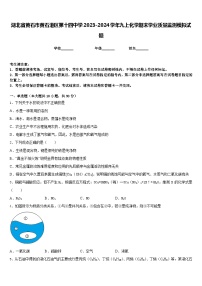 湖北省黄石市黄石港区第十四中学2023-2024学年九上化学期末学业质量监测模拟试题含答案