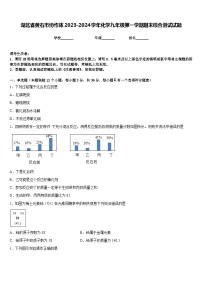 湖北省黄石市协作体2023-2024学年化学九年级第一学期期末综合测试试题含答案