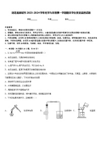 湖北省麻城市2023-2024学年化学九年级第一学期期末学业质量监测试题含答案