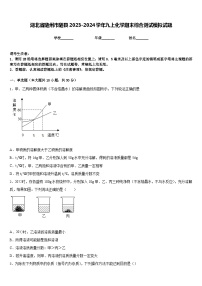 湖北省随州市随县2023-2024学年九上化学期末综合测试模拟试题含答案