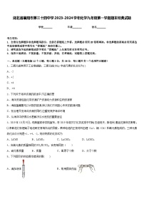 湖北省襄阳市第三十四中学2023-2024学年化学九年级第一学期期末经典试题含答案