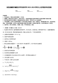 湖北省襄阳市襄阳五中学实验中学2023-2024学年九上化学期末考试试题含答案