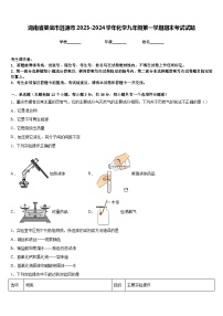 湖南省娄底市涟源市2023-2024学年化学九年级第一学期期末考试试题含答案