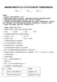 湖南省浏阳市浏阳河中学2023-2024学年九年级化学第一学期期末联考模拟试题含答案