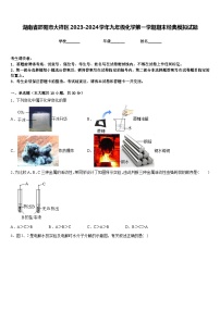 湖南省邵阳市大祥区2023-2024学年九年级化学第一学期期末经典模拟试题含答案