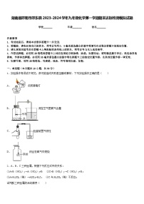 湖南省邵阳市邵东县2023-2024学年九年级化学第一学期期末达标检测模拟试题含答案