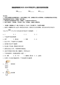 湖南省湘西州2023-2024学年化学九上期末质量检测试题含答案