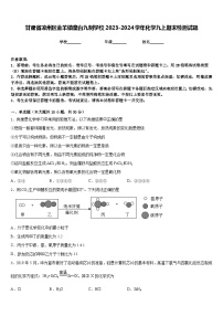 甘肃省凉州区金羊镇皇台九制学校2023-2024学年化学九上期末检测试题含答案