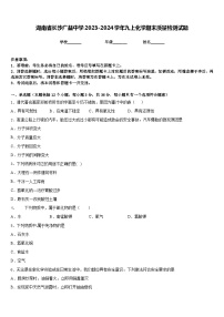 湖南省长沙广益中学2023-2024学年九上化学期末质量检测试题含答案