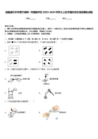 湖南省长沙市青竹湖湘一外国语学校2023-2024学年九上化学期末综合测试模拟试题含答案