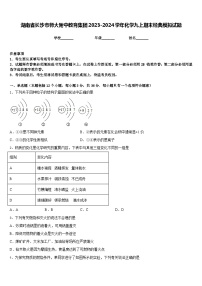 湖南省长沙市师大附中教育集团2023-2024学年化学九上期末经典模拟试题含答案