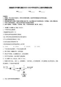 湖南省长沙市雅礼集团2023-2024学年化学九上期末经典模拟试题含答案