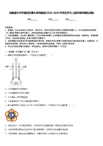 湖南省长沙市雨花区雅礼教育集团2023-2024学年化学九上期末联考模拟试题含答案