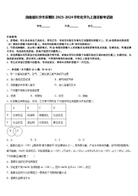 湖南省长沙市岳麓区2023-2024学年化学九上期末联考试题含答案