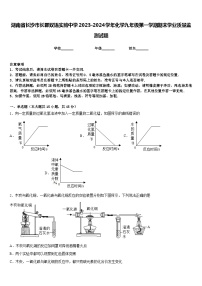 湖南省长沙市长郡双语实验中学2023-2024学年化学九年级第一学期期末学业质量监测试题含答案