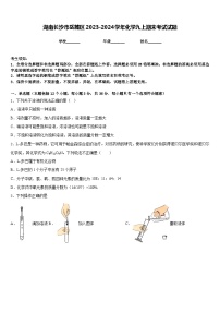 湖南长沙市岳麓区2023-2024学年化学九上期末考试试题含答案