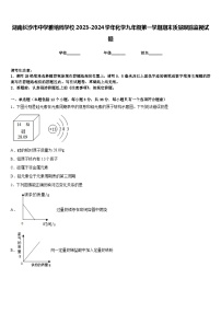 湖南长沙市中学雅培粹学校2023-2024学年化学九年级第一学期期末质量跟踪监视试题含答案