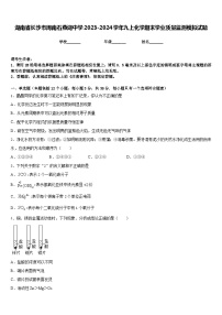 湖南省长沙市周南石燕湖中学2023-2024学年九上化学期末学业质量监测模拟试题含答案