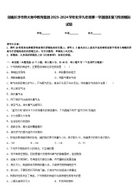 湖南长沙市师大附中教育集团2023-2024学年化学九年级第一学期期末复习检测模拟试题含答案