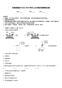 甘肃省陇南市2023-2024学年九上化学期末调研模拟试题含答案