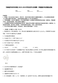 甘肃省平凉市崆峒区2023-2024学年化学九年级第一学期期末考试模拟试题含答案