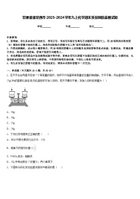 甘肃省省定西市2023-2024学年九上化学期末质量跟踪监视试题含答案