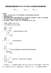 甘肃省武威市民勤实验中学2023-2024学年九上化学期末综合测试模拟试题含答案