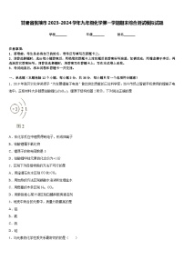 甘肃省张掖市2023-2024学年九年级化学第一学期期末综合测试模拟试题含答案