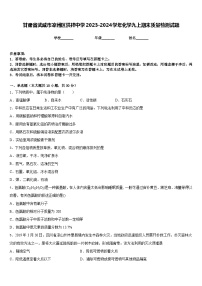 甘肃省武威市凉州区洪祥中学2023-2024学年化学九上期末质量检测试题含答案