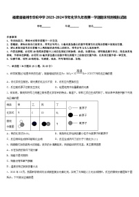 福建省福州市华伦中学2023-2024学年化学九年级第一学期期末检测模拟试题含答案