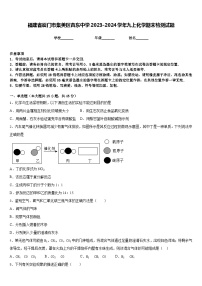 福建省厦门市集美区杏东中学2023-2024学年九上化学期末检测试题含答案