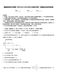 福建省泉州市永春第二中学2023-2024学年九年级化学第一学期期末质量检测试题含答案