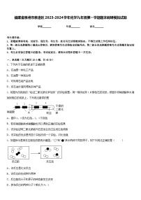 福建省泉州市泉港区2023-2024学年化学九年级第一学期期末调研模拟试题含答案